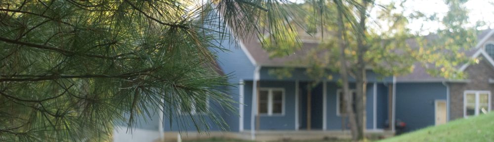 Life in the Blue House